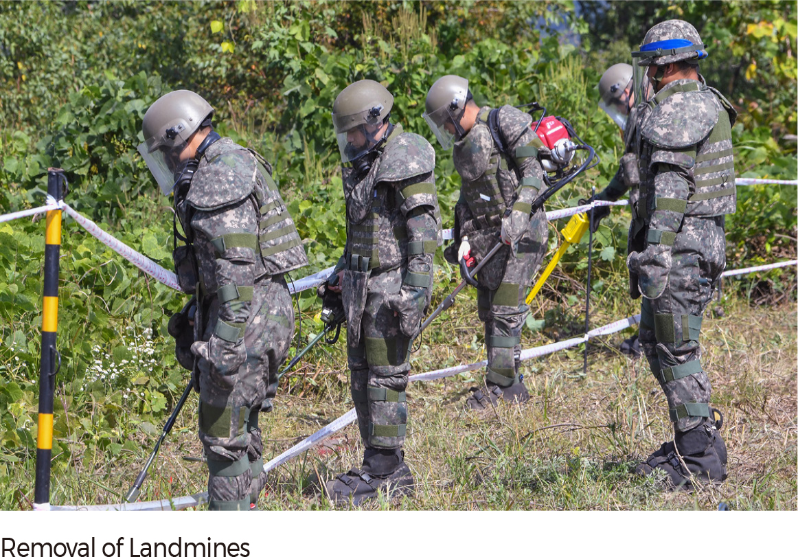 Removal of Landmines